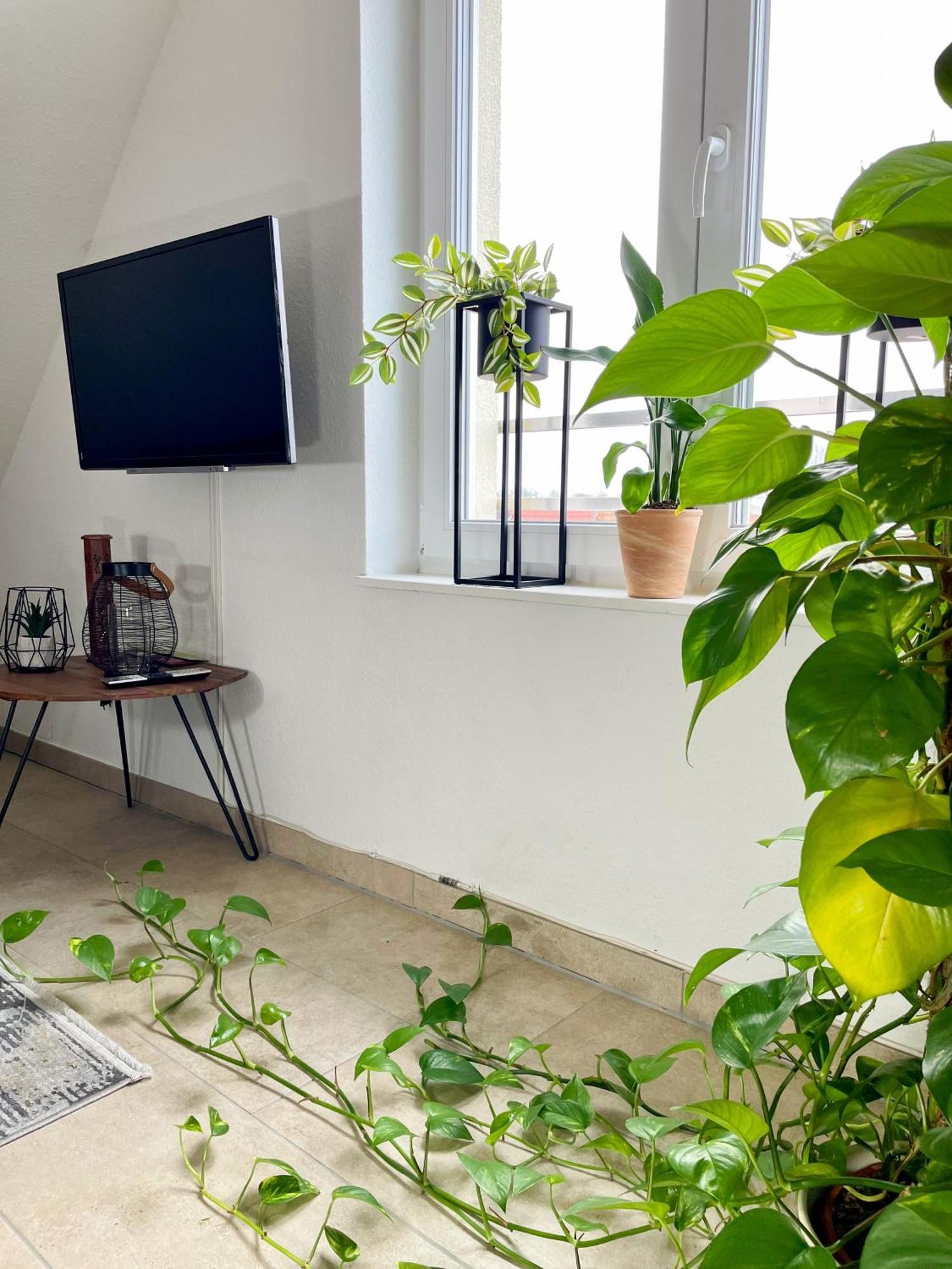 Ahaus: Stadtoase Mit Terrasse & Privater Garage Exterior photo